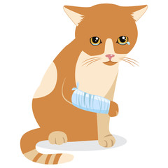 Cry Cat With Splinting Leg. Sad Crying Cat Cartoon Vector Illustration. Emotional Catty Face. Tears Of Despair. Kitten Wants To Come In. Sadness Life.