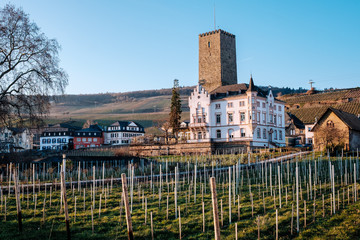 R&uuml;desheim am Rhein