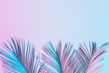 Obraz premium Tropical and palm leaves in vibrant bold gradient holographic colors. Concept art. Minimal surrealism.