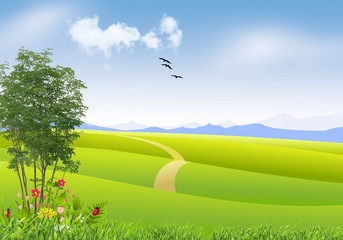 Nature spring background with green grass and flowers