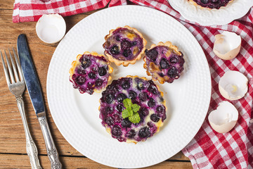 Blueberry tart, pie, tartlet with vanilla custard.