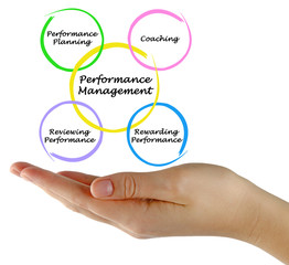 Diagram of Performance Management