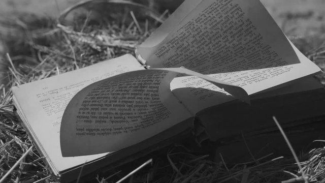 Open book with flipped pages. Wind blows the pages of the book. Vintage books on the farm.