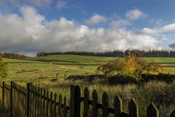 Obraz premium view over the fence