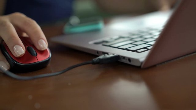 Woman plugging USB and using laptop 
