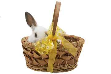 Easter bunny in basket with yellow bow isolated on white
