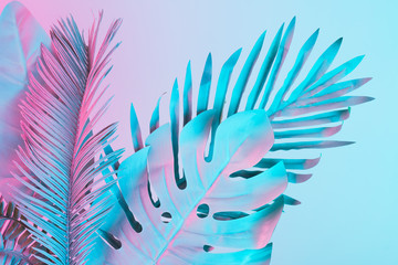 Obraz premium Tropikalne i palmowe liście w żywych, pogrubionych kolorach holograficznych. Sztuka koncepcyjna. Minimalny surrealizm.