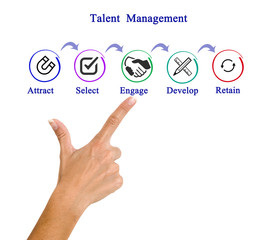 Talent  Management Process