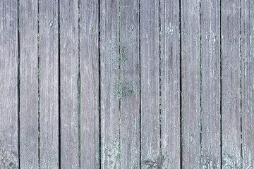 Fototapeta premium The old wood texture with natural patterns