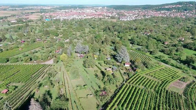 Aerial Drone Footage View: Flying over hills and vineyards in sun soft light. Fly out. Vineyards in Stuttgart, Germany. Beautiful landscape. in 4k!