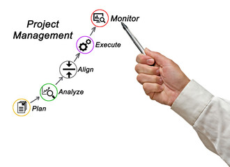 Project Management process