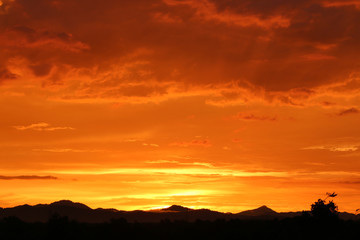 Fototapeta na wymiar beautiful Orange sky In the evening summer Asia