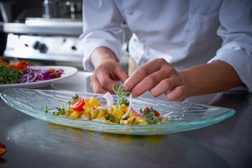 Chef hands garnishing ceviche dish