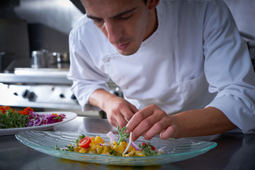 Chef hands garnishing vegetable dish