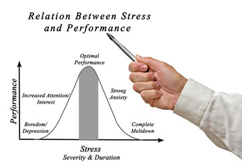 Relation Between Stress and Performance