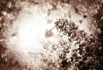 Old grungy lilac flowers background. Retro aged photo with scratches. Sepia.