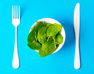 spinach plate concept vegan healthy food
