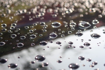 Closeup of water drops in the morning. Selective focus and crop fragment.