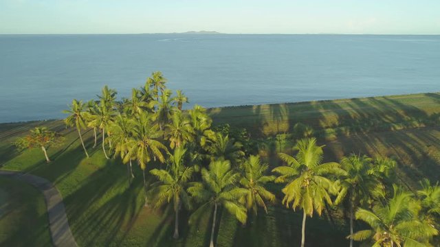 AERIAL: Lonely trail runs through perfect green lawn at a tropical golf resort at breathtaking sunset. Flying over exotic island's country club golf range adorned with palm trees and seaside view.