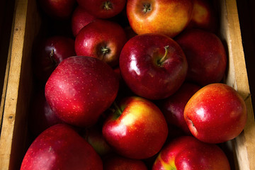 a few red orange macro apples with shadow  in a wooden box