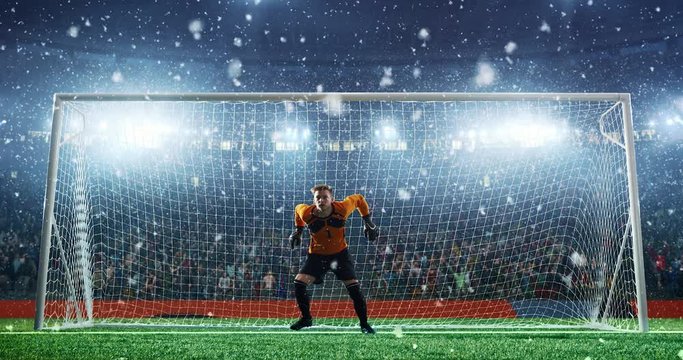 Soccer goalkeeper jumps and fails to save ball on a professional soccer stadium. Stadium and crowd is made in 3D and animated