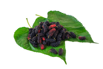 Mulberries on green leaf  isolated on white background with clipping path.