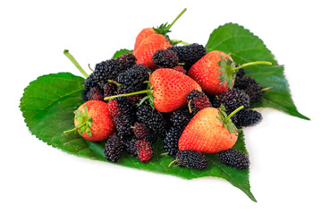 Mulberries and strawberry on green leaf  isolated on white background with clipping path.