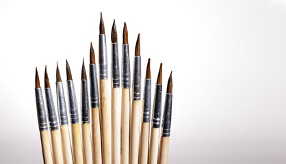 Squirrel brushes on white background.