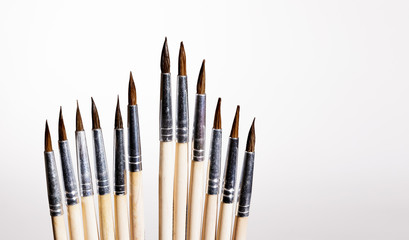 Squirrel brushes on white background.