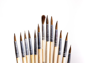 Squirrel brushes on white background.