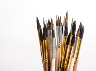 Squirrel brushes on white background.