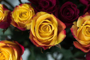 Fototapeta na wymiar yellow and red bunch of roses
