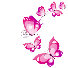 beautiful pink butterflies, isolated  on a white