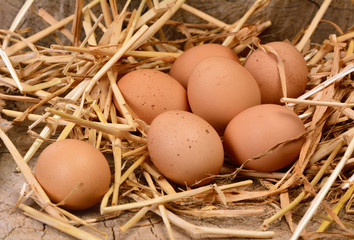 Fresh eggs