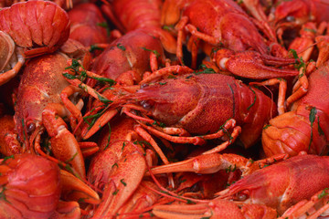 Bolied crayfish