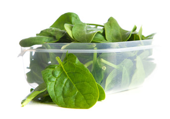 Baby spinach leaves