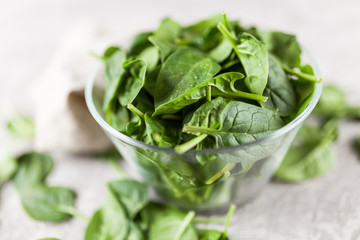 Baby spinach leaves