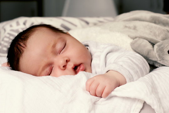 51 213 Best Bebe Images Stock Photos Vectors Adobe Stock 51 213 Best Bebe Images Stock Photos Vectors Adobe Stock