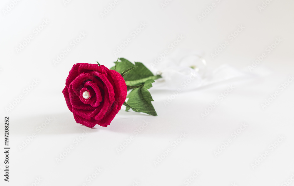 Wall mural red paper rose on white background