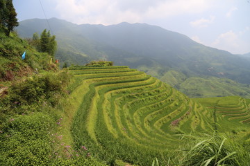 Longsheng Rice Terraces