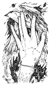 Hand drawn psychedelic illustrations with human hand and bird. can be used like cover, background, tattoo.