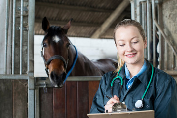 Female Vet Examining Horse In Stable