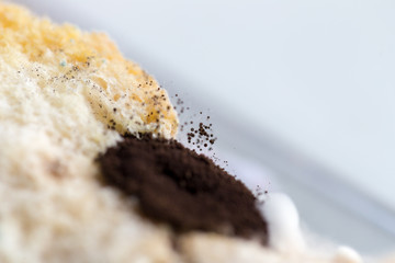 Rhizopus (bread mold) is a genus of common saprophytic fungi,Rhizopus (bread mold)  under the microscope.