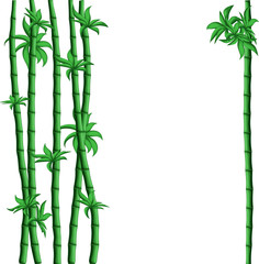 Obraz na płótnie Canvas Green Bamboo vector frame in square composition