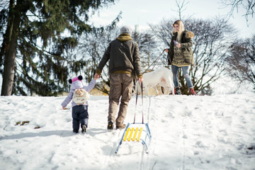 Man goes up with little girl and sledges to woman with two American bulldogs