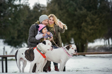 Lady takes a selfie posing with her man and daughter with two American bulldogs on the leash in winter park