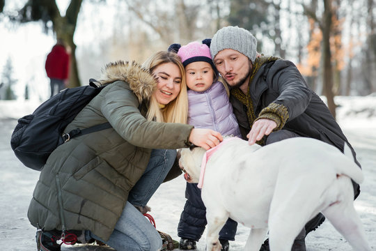 Happy family of mom, dad and little daughter pose with American bulldog in the park