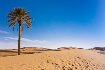 Fototapeta na wymiar Merzouga in the Sahara Desert in Morocco