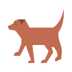 pet dog animal domestic image vector illustration