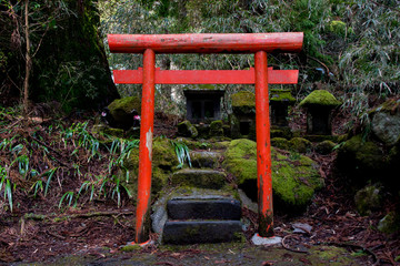 Mossy shrine in forest